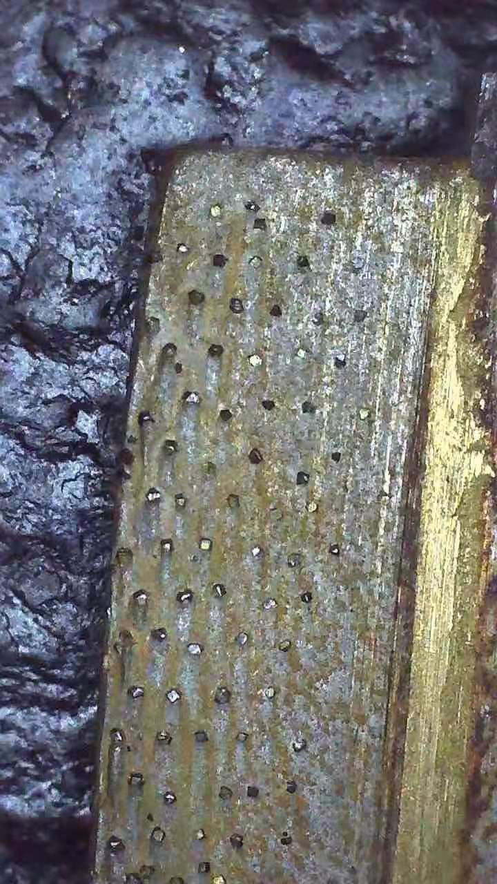 Arrayed diamond segments (8)